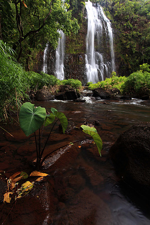 Opaekaa Waterfall on Kauai Hawaii