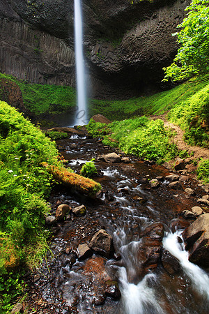 Latourell Falls in the Columbia River Gorge, Oregon