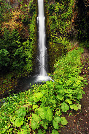 Tunnel Falls, located in Eagle Creek, Columbia River Gorge, Oregon