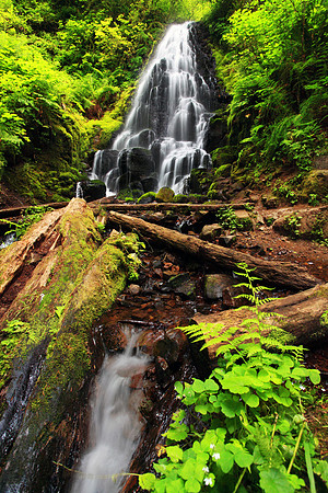 Fairy Falls located upstream from Wahkeena Falls  in the Columbia River Gorge, Oregon