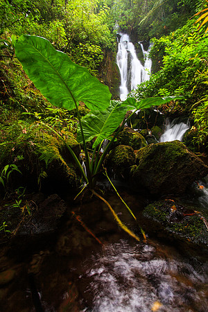 Waihee Waterfall on Oahu Hawaii