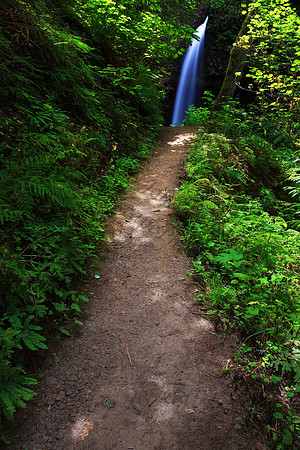 Latourell Falls in the Columbia River Gorge, Oregon
