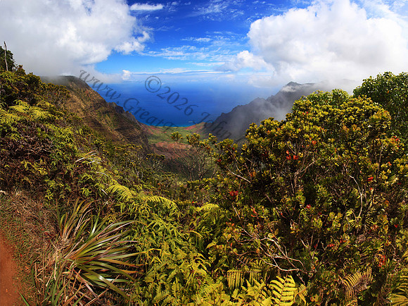 Kalalau Valley seen from Pihea trail Kokee State Park Kauai Hawaii