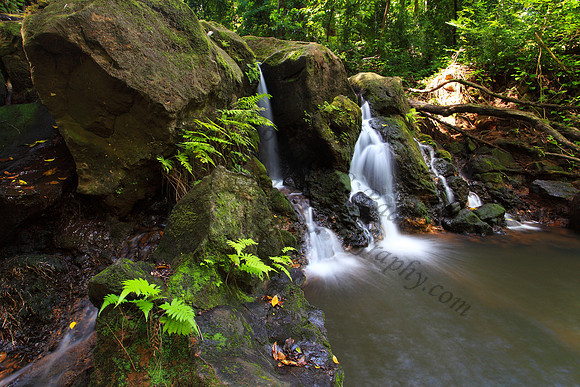 Small waterfall Nuuanu Jackass Ginger Judd Trail Oahu Hawaii