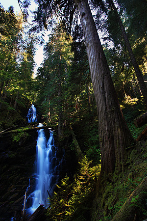 Ranger Falls, located in Carbon River of Mount Ranier National Park